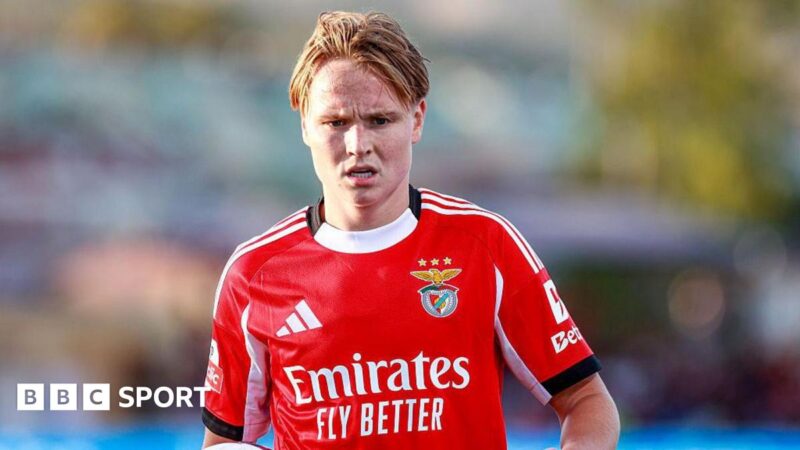 Andreas Schjelderup: Norway player handed suspended sentence for sharing illegal sexual video