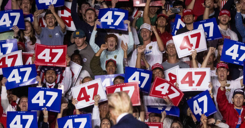 Democrats dip into the ‘manosphere’ in search of the key to the young male vote