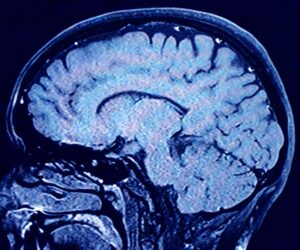 Human brains have 5 distinct ‘epochs’ in a lifetime, study finds