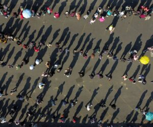 Surging measles cases are ‘fire alarm’ warning that other diseases could be next