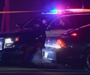 4 killed, 10 injured in shooting during family celebration in California banquet hall