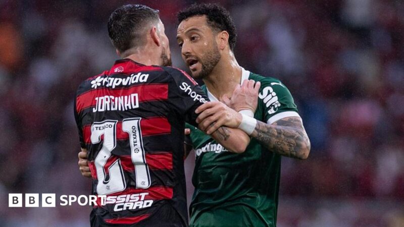 How Flamengo v Palmeiras became South America’s biggest game