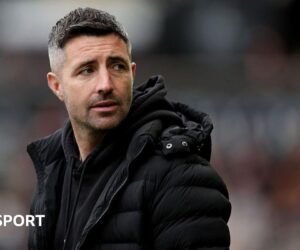 Alan Sheehan: Swansea City part company with head coach