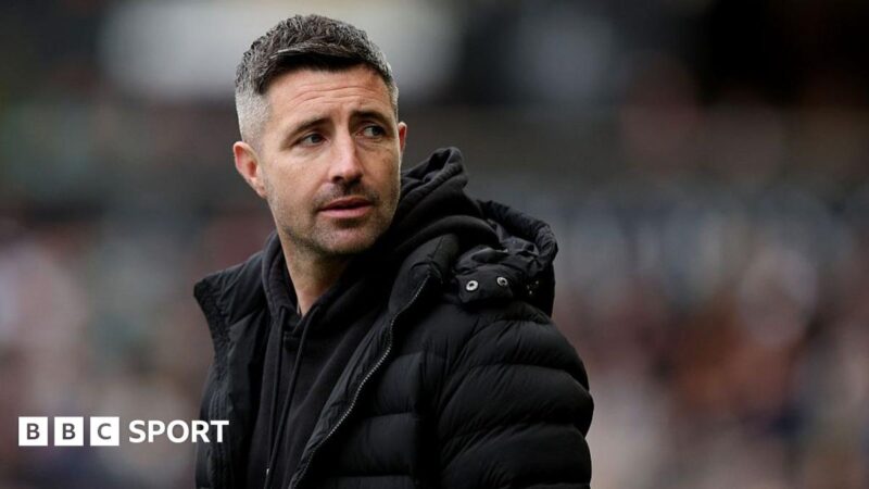 Alan Sheehan: Swansea City part company with head coach