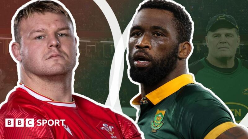 Wales v South Africa: Springboks captain Siya Kolisi annoyed by fixture negativity