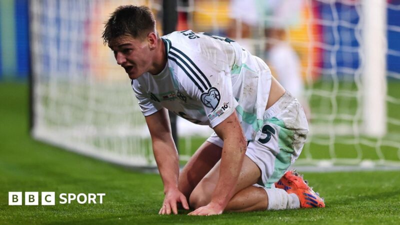 Slovakia 1-0 Northern Ireland: Michael O’Neill’s side look to play-offs after sucker punch in Kosice