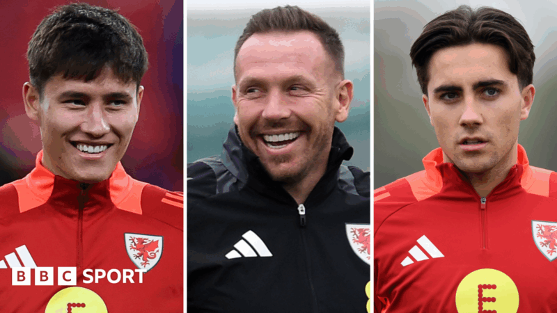 World Cup qualifying: Cardiff City’s youth and style a ‘dream’ for Wales boss Craig Bellamy
