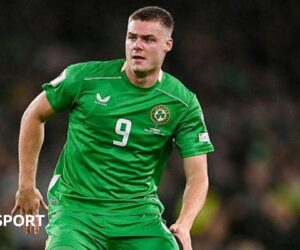 Republic of Ireland v Portugal: Republic of Ireland will ‘wait and see’ over Ferguson fitness for Hungary game