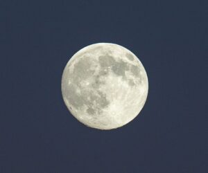 How and When You Can See November’s Supermoon