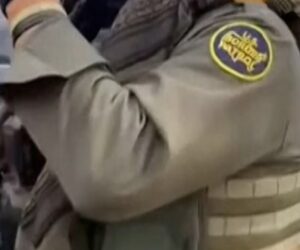 Charlotte resident films Border Patrol in her yard