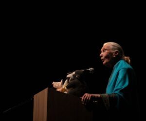 Jane Goodall’s Memory Lives On