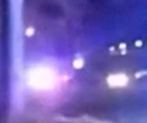 Wayward cow stops traffic in Ohio