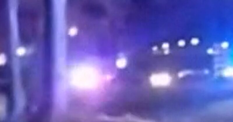 Wayward cow stops traffic in Ohio