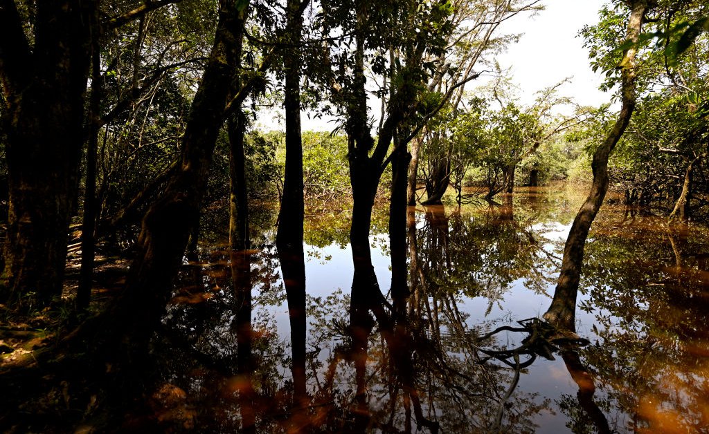 Ecuador’s Constitution Protects Nature. Now That’s at Risk