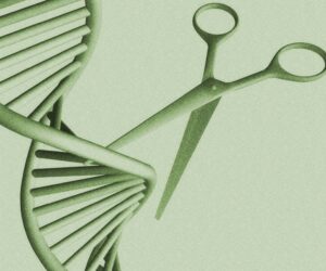 Can a One-Time Gene Therapy Lower Cholesterol?