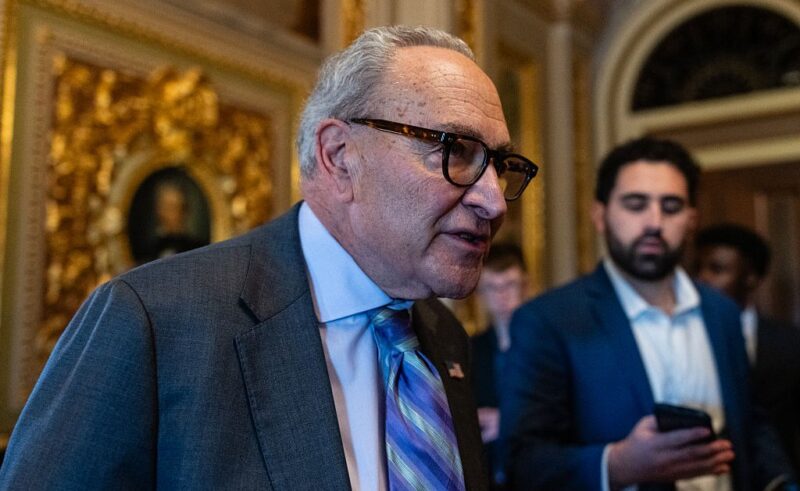 ‘We Love to Overplay Our Hands’: Democrats Mull Shutdown End