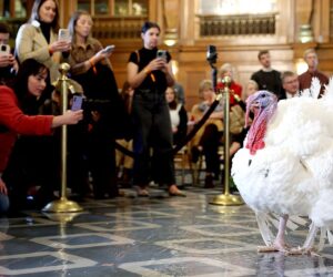 The Unusual History of the Annual White House Turkey Pardon