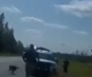 New bodycam video of escaped Mississippi monkeys