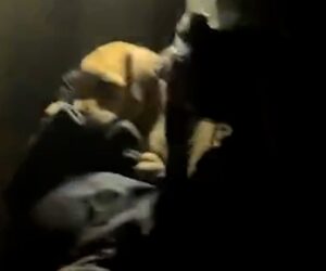 Firefighters rescue puppies from burning house