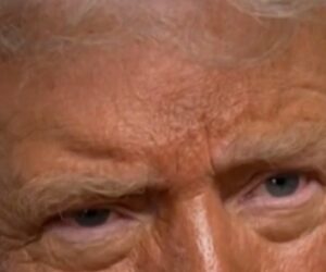 Trump says immigration raids ‘haven’t gone far enough’