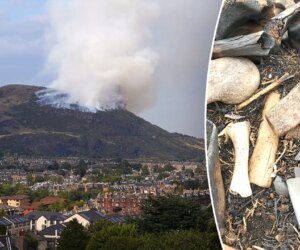 Mysterious bones found near landmark location in Edinburgh, Scotland, spark investigation