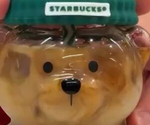 Viral Starbucks ‘Bearista’ cup creates customer frenzy
