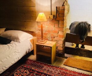 Unique Airbnb barn with miniature horse Basil costs $230 per night