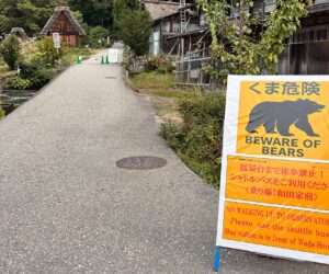 State Department warns Americans in Japan after deadly spike in bear attacks