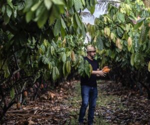 What Brazil’s Farmers Can Teach the World About Climate