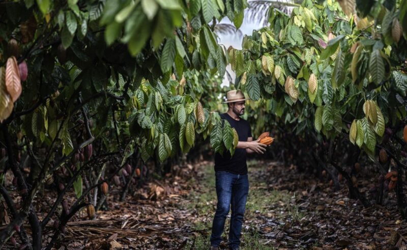 What Brazil’s Farmers Can Teach the World About Climate