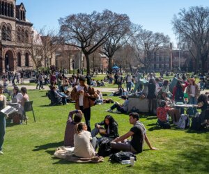Brown University campus poll reveals tiny conservative population, discomfort