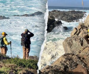 Man presumed dead after wave sweeps trio into Pacific Ocean in California