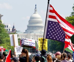 Foreign charities donate $2B to US climate and political advocacy groups: report