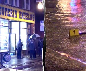 Father and son killed in Chicago Little Village jewelry store robbery: police