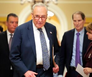 Democrats fracture as Senate move to end shutdown exposes party divide