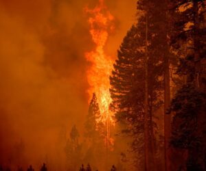 The World Is Failing Its 2025 Paris Climate Target. Now What?