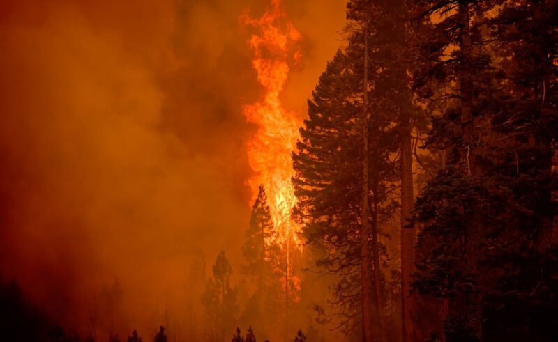 The World Is Failing Its 2025 Paris Climate Target. Now What?