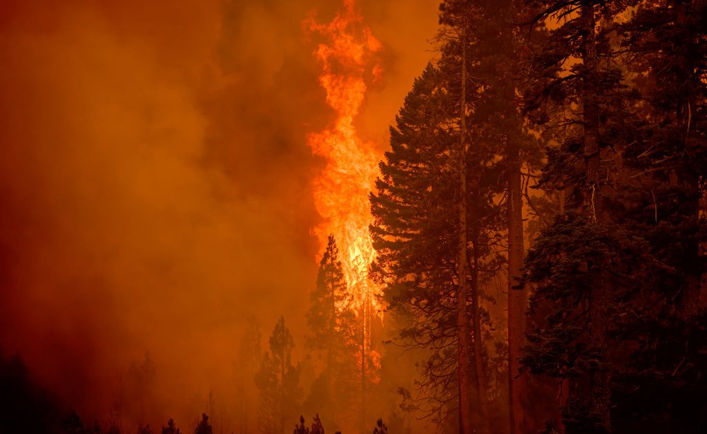 The World Is Failing Its 2025 Paris Climate Target. Now What?