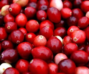 What Climate Change Means For Your Thanksgiving Dinner