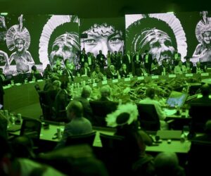 The World Wants Climate Action Whether Countries Like It or Not