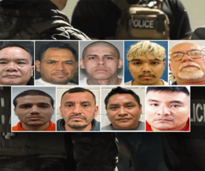 Halloween weekend sweep nets convicted sex offenders, killers, kidnappers