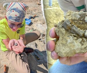 Connecticut high schooler finds 150-million-year-old fossil in Montana