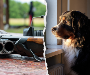 Dog accidentally shoots owner with shotgun in Pennsylvania home accident