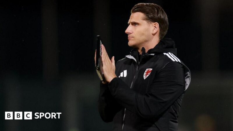 Liechtenstein 0-1 Wales: Banned Craig Bellamy ‘calm’, says Cremers