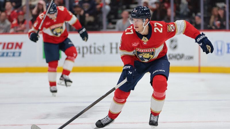 Panthers’ Eeto Luostarinen injured in ‘barbecuing mishap’
