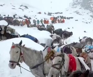 Avalanche in Nepal kills 7 climbers on Mount Yalung Ri