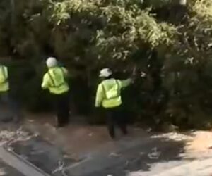 Rockefeller Center Christmas tree arrives in New York