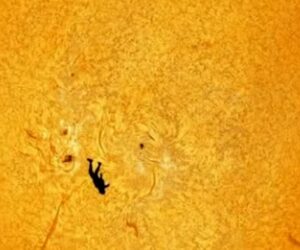 Photographer explains how ‘Icarus’ photo was caught