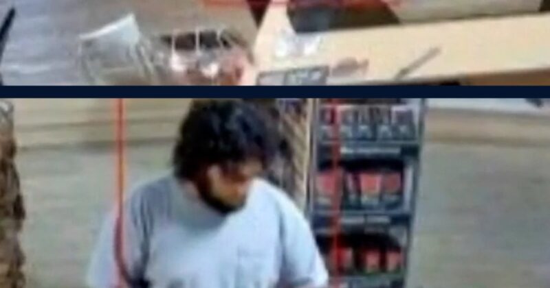 2 men charged in alleged Michigan Halloween terror plot