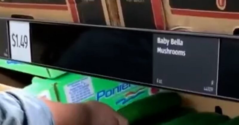 Trump issues order rolling back some food tariffs